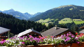 Hanslerfeld, Alpbach, Österreich